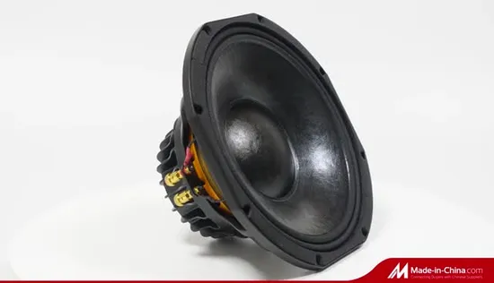 Professional Loudspeaker 12&prime; &prime; Line Array Speaker System 800watt Audio