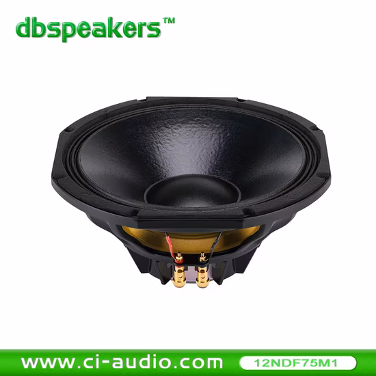 Professional Loudspeaker 12&prime; &prime; Line Array Speaker System 800watt Audio
